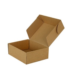 Logo print corrugated packaging mailer box